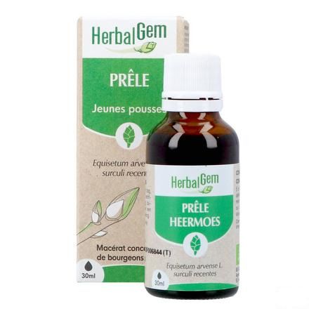 Herbalgem Prele Jp Bio 30 ml