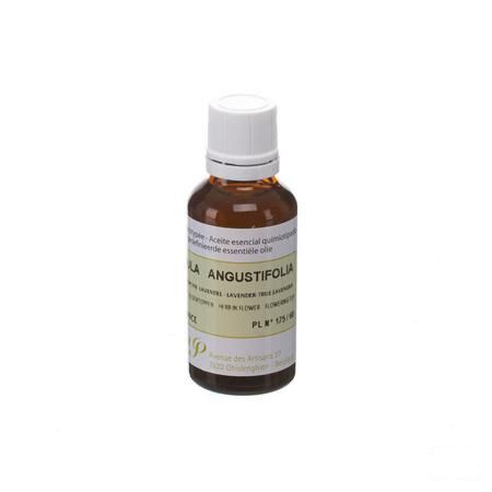 Lavande Vraie Huile Essentielle 30 ml  -  Pranarom