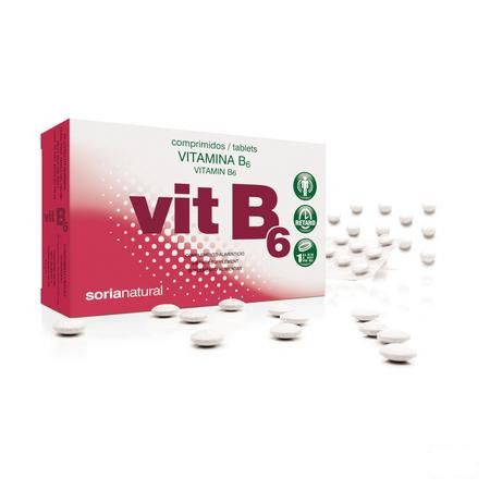 Soria Vitamine B6 Retard 48 Comprimes  -  Soria Bel