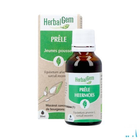 Herbalgem Prele Jp Bio 30 ml