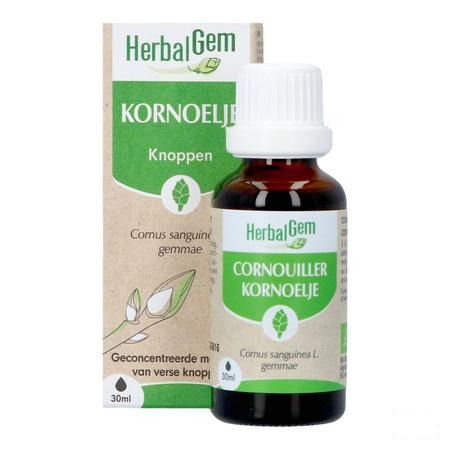 Herbalgem Cornouill Bio 30 ml