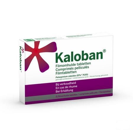 Kaloban 21 Tabletten  -  VSM