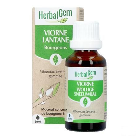 Herbalgem Sneeuwbal Bio 30 ml