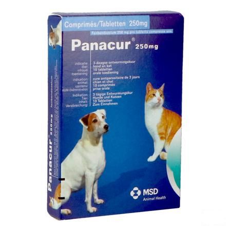 Panacur Tabletten Vet 10 X 250 mg 