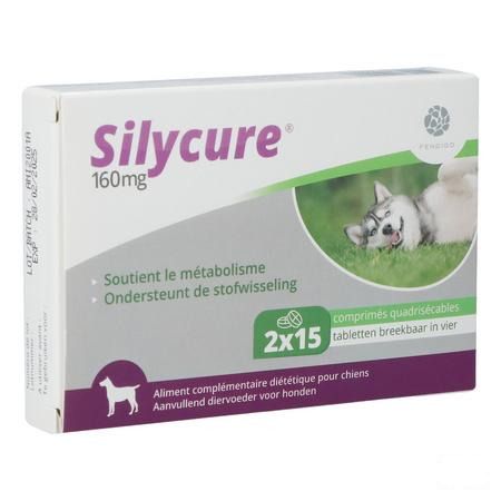 Silycure 160Mg Comp 2X15