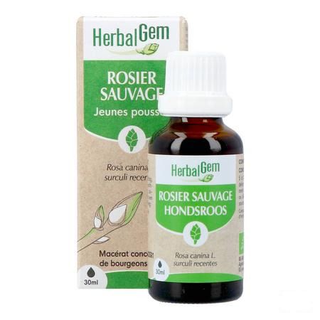 Herbalgem Rosier Sa Bio 30 ml