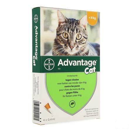 Advantage 40 Katten 