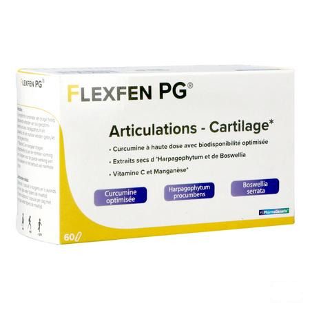 Flexfen Pg Pharmagenerix Blister Capsule 60  -  Superphar