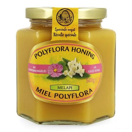 Melapi Polyflora + gelee Royale 500 gr 5534  -  Revogan