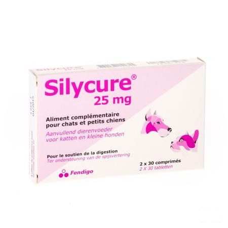 Silycure Tabletten 2x30x25 mg Blister  -  Fendigo