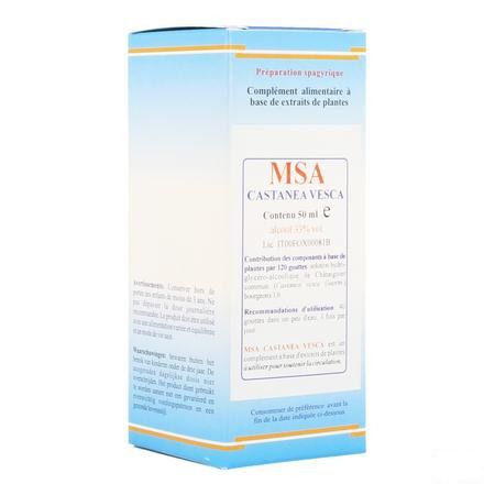 Castanea Vesca Msa Maceraat Druppels 50 ml  -  Herboplanet