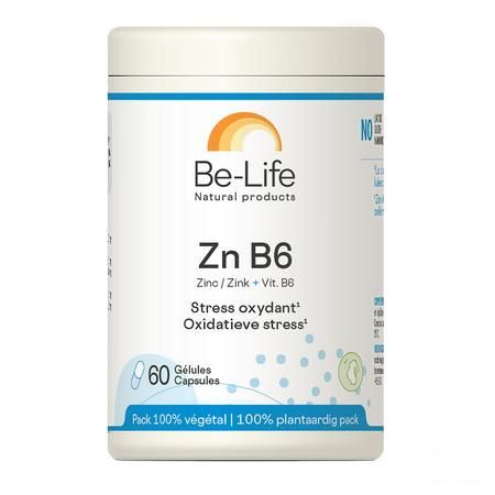 Zn-b6 Minerals Be Life Gel 60  -  Bio Life