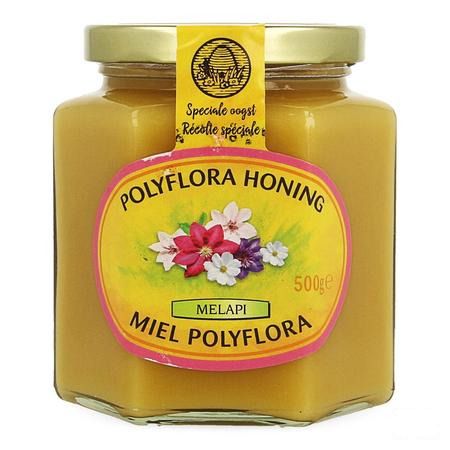 Melapi Miel Polyflora Tendre 500 gr 5531  -  Revogan