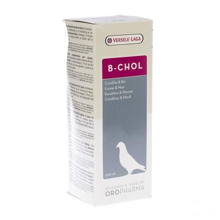 Biochol Oplossing 500 ml