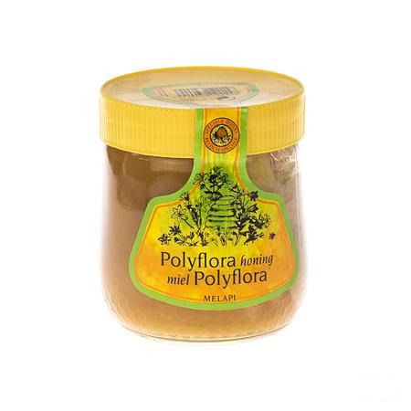 Melapi Miel Polyflora Tendre 500 gr 5531  -  Revogan