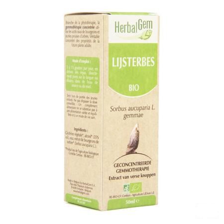 Herbalgem Sorbier Macerat 50 ml  -  Herbalgem