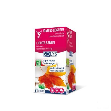 Biolys Vigne Rouge + fruits Rouges Tea-bags 20  -  Tilman