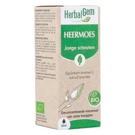 Herbalgem Prele Jp Bio 30 ml