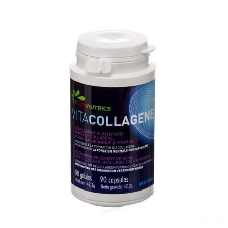 Vitacollagene Ha Blister Capsule 6x15 