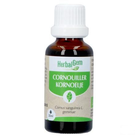 Herbalgem Cornouill Bio 30 ml