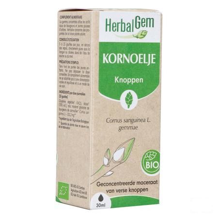 Herbalgem Cornouill Bio 30 ml