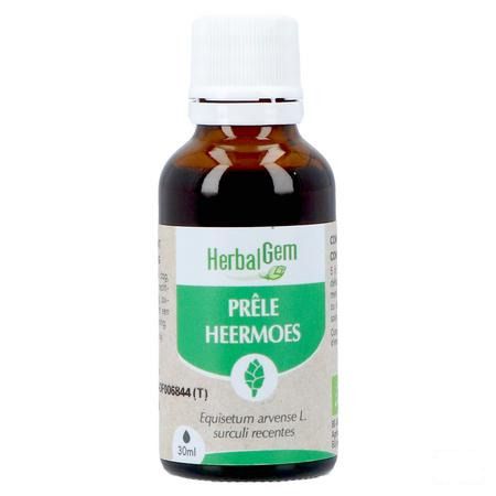 Herbalgem Prele Jp Bio 30 ml