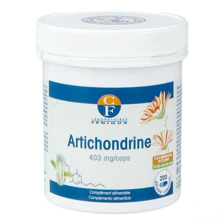 Artichondrine Gel 200  -  Fenioux