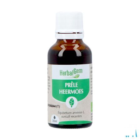 Herbalgem Prele Jp Bio 30 ml