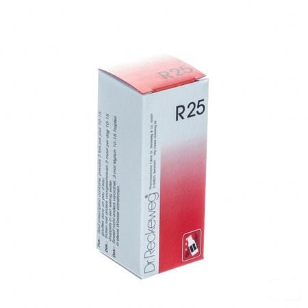 Reckeweg Dr. R25 Druppels 50 ml  -  Nut-Hom-Phyt