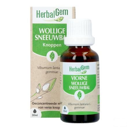 Herbalgem Sneeuwbal Bio 30 ml