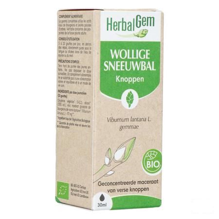 Herbalgem Sneeuwbal Bio 30 ml