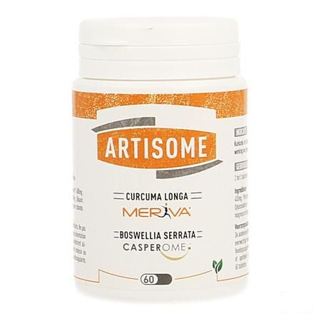 Artisome Tabletten 60 X 1000 mg  -  Dynarop Products