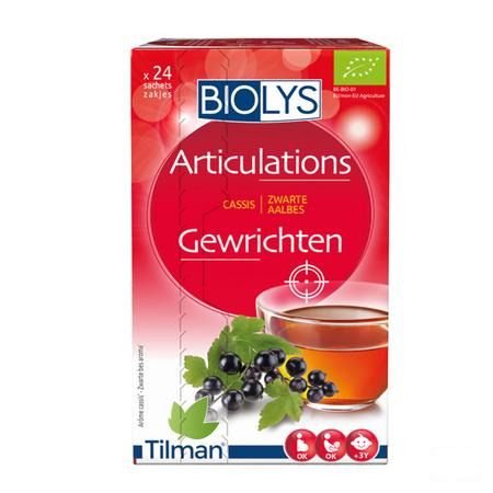 Biolys Cassis Sachets 24  -  Tilman