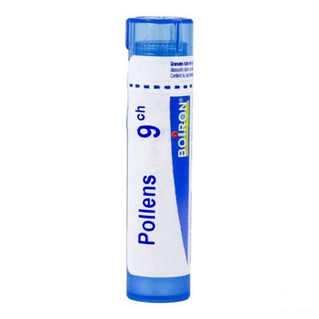 Pollens 9CH Gr 4g  -  Boiron